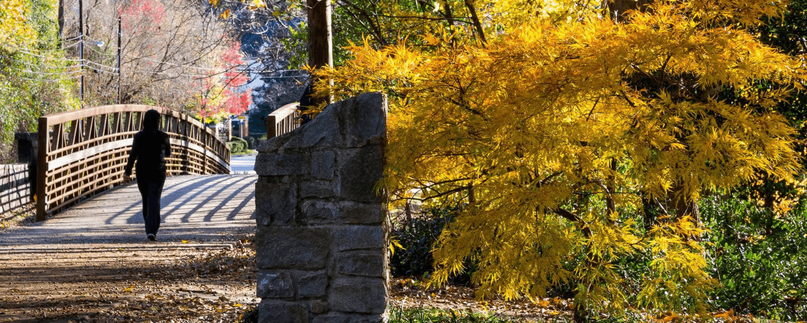 Celebrate Mother’s Day Weekend at Chastain Park