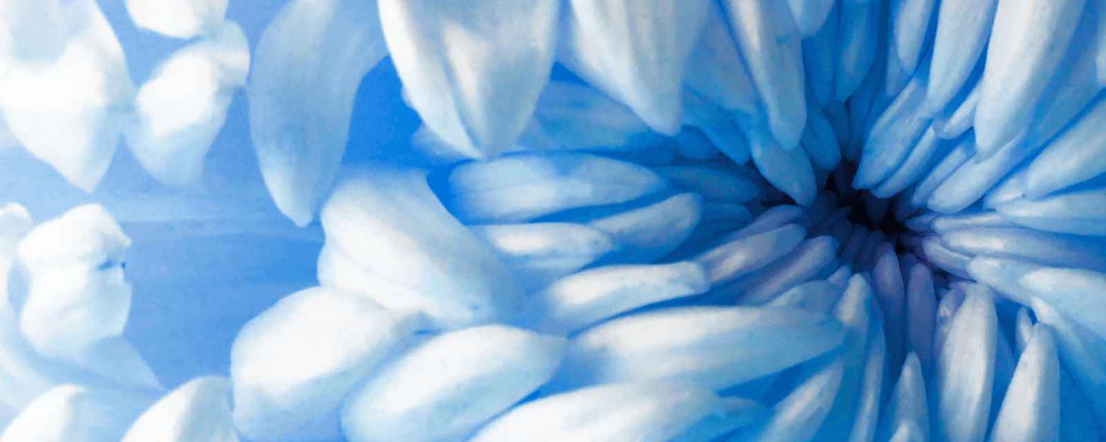 Blooms Art Class