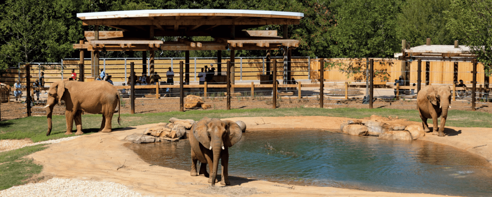 World Block Party at Zoo Atlanta