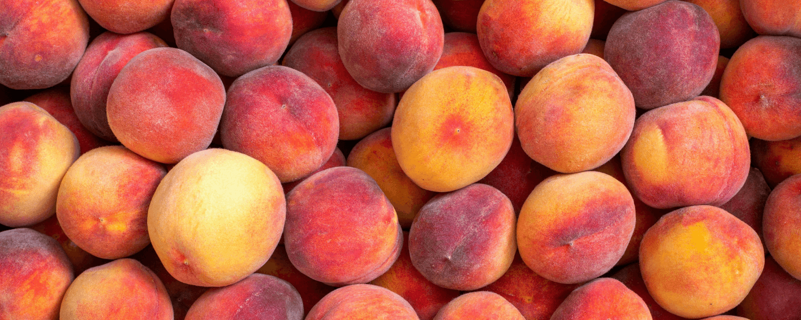 Downtown Peach Walk and Wellness Talk